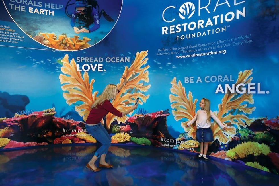 Coral Angel photo op Aquarium at the Boardwalk