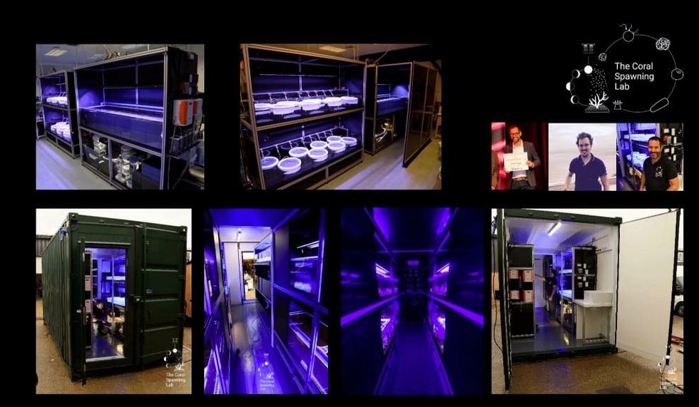 coral spawning lab jamie craggs at International aquarium congress 2022