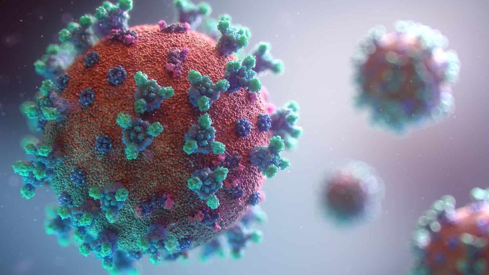 Coronavirus COVID-19 and its affects on the LBE industry
