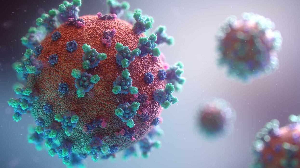 coronavirus COVID-19