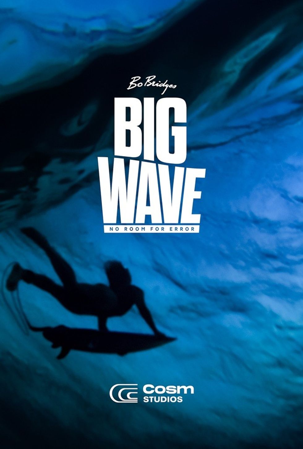 Cosm Big Wave poster