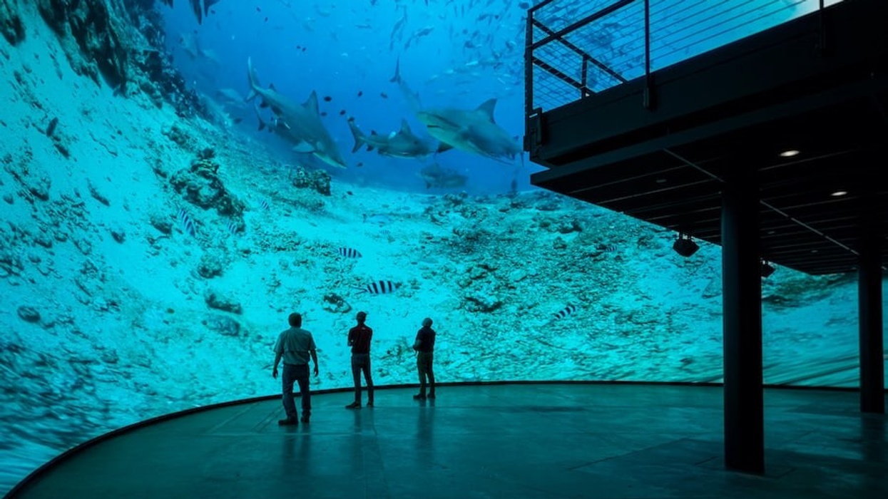 Cosm-Experience-Center-DomeX