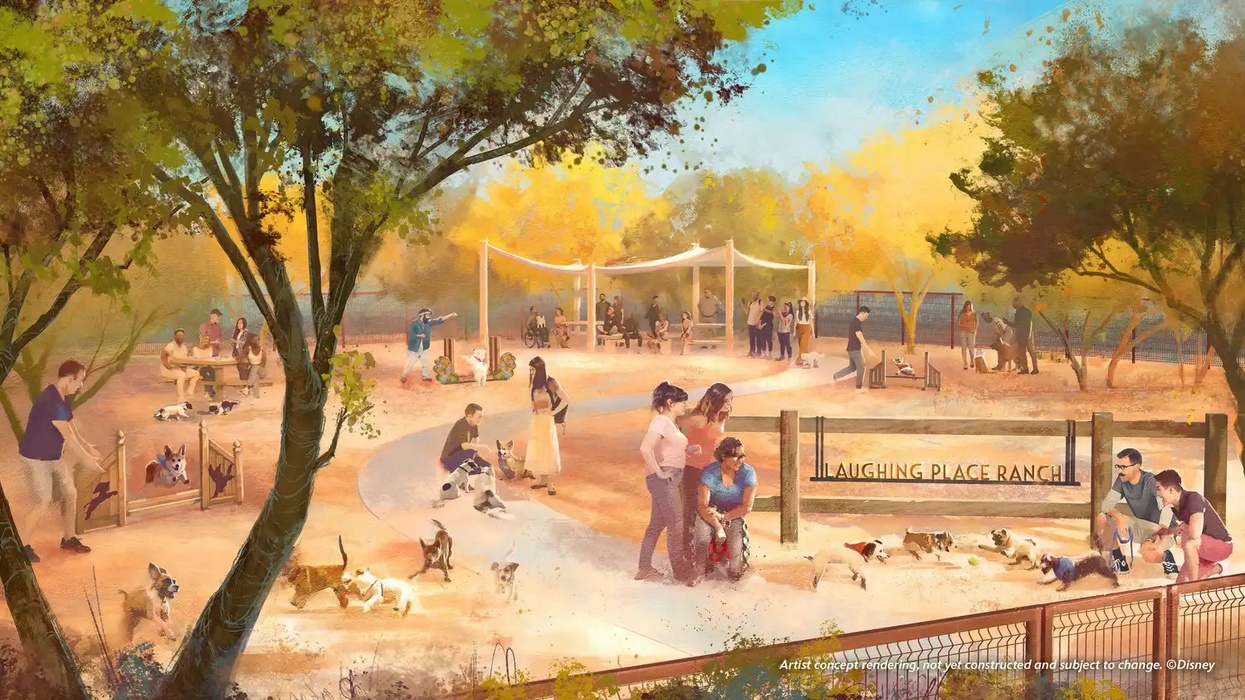 cotino disney residential community