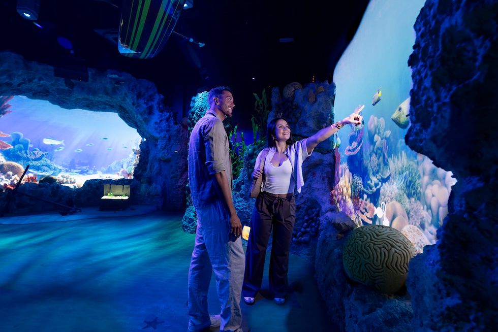 Couple enjoying an interactive aquarium exhibit, surrounded by colorful, virtual marine life.