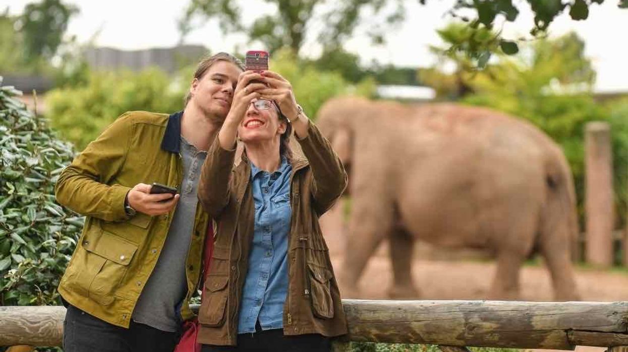 couple take selfie at chester zoo