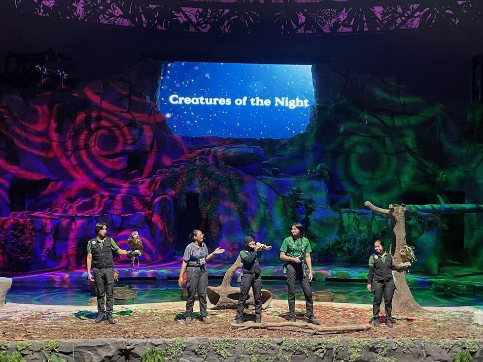 Creatures of the night show at Night Safari Mandai Wildlife Reserve