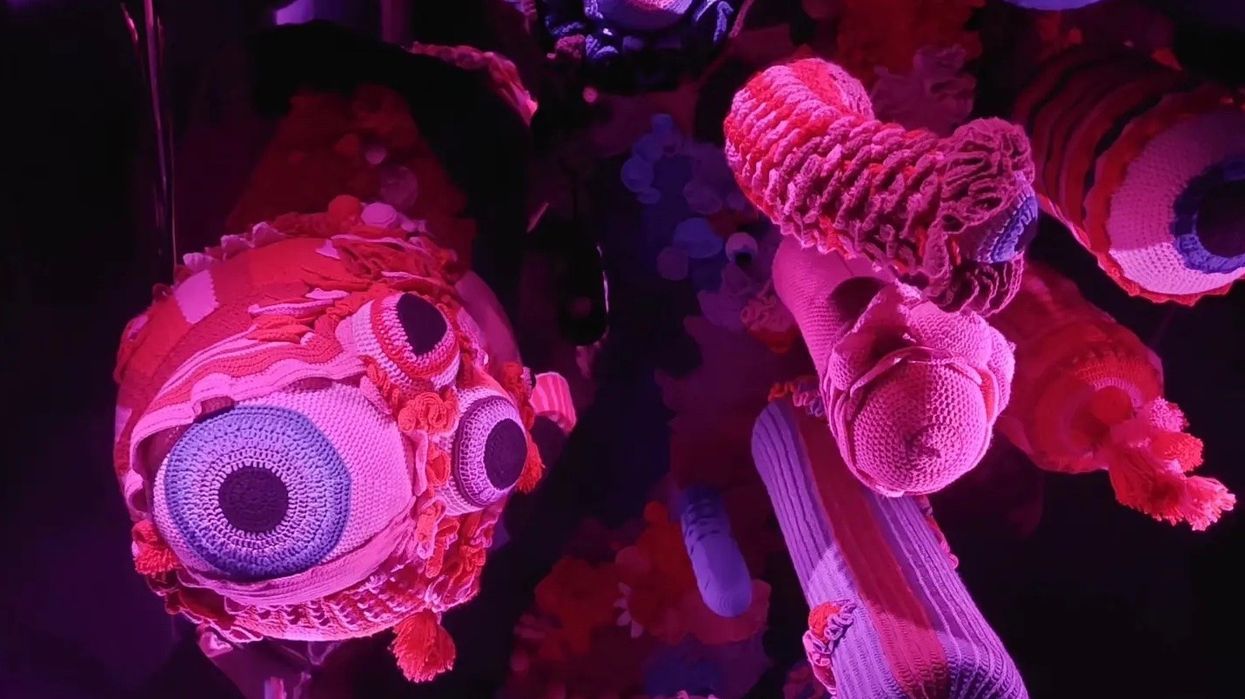 Crochet eyes Meow Wolf Convergence Station