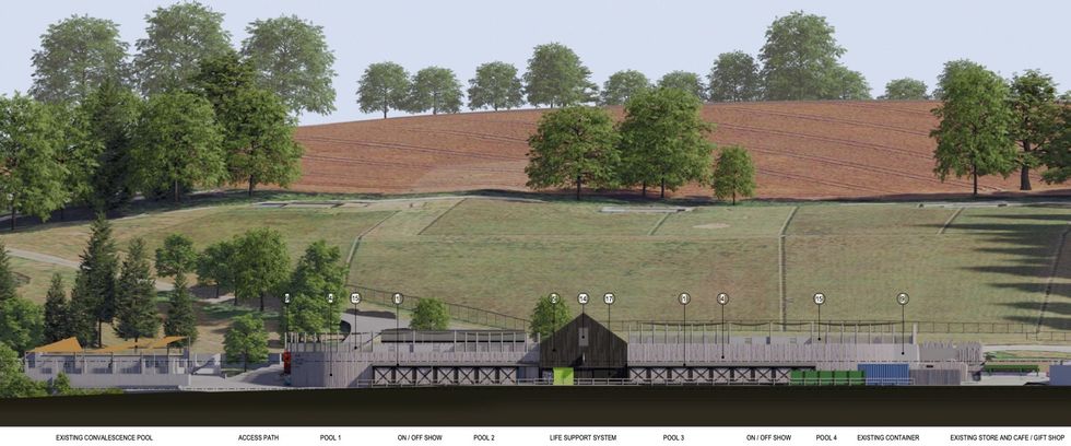 Cropped Elevation Kay Elliott