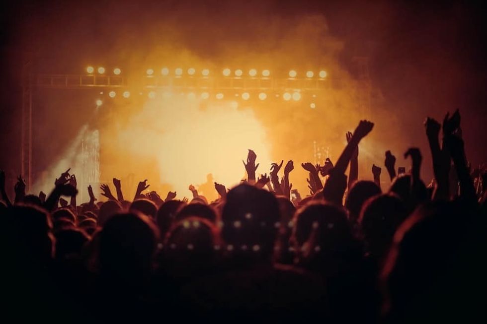 crowd at a music festival