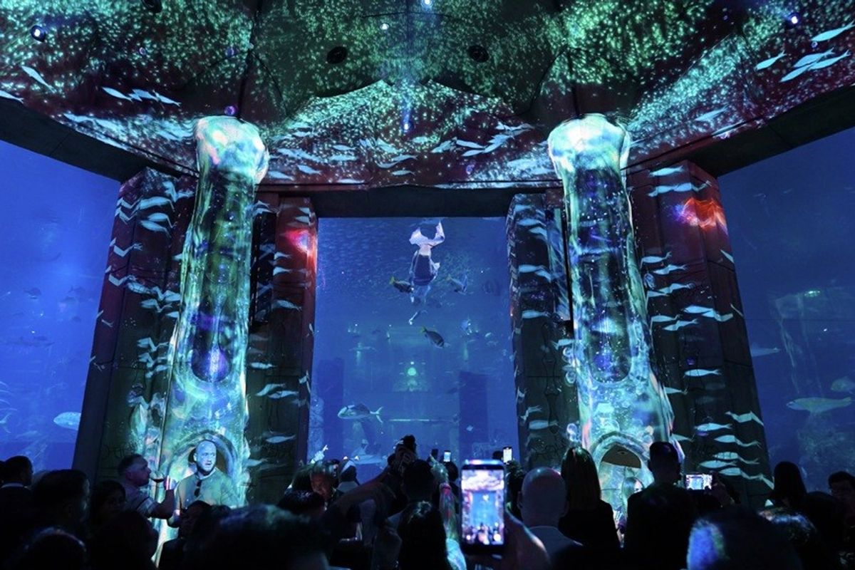Crowd watches a stunning underwater-themed light show with divers and fish.