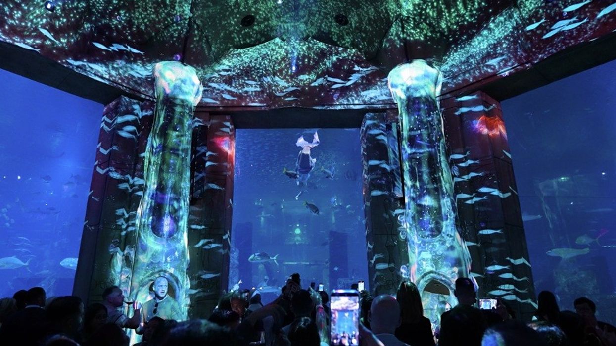 Crowd watches a stunning underwater-themed light show with divers and fish.