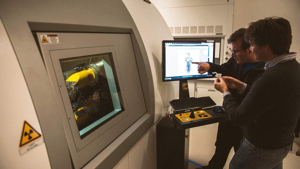 ct scanner scanning frog florida museum of natural history