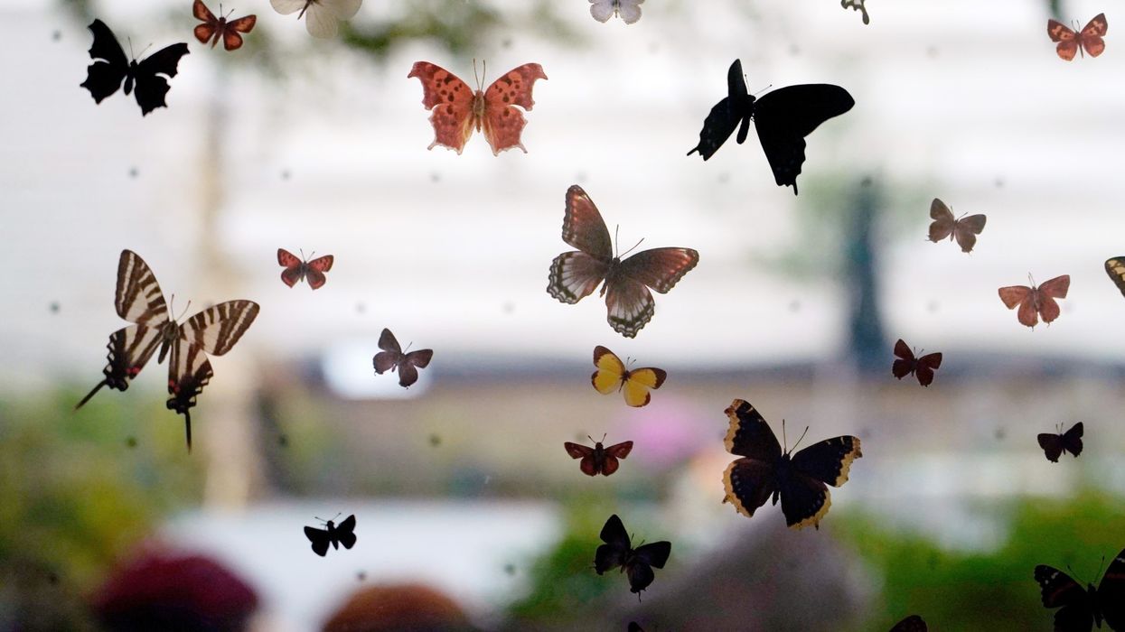 CTA 2024 museum impact header