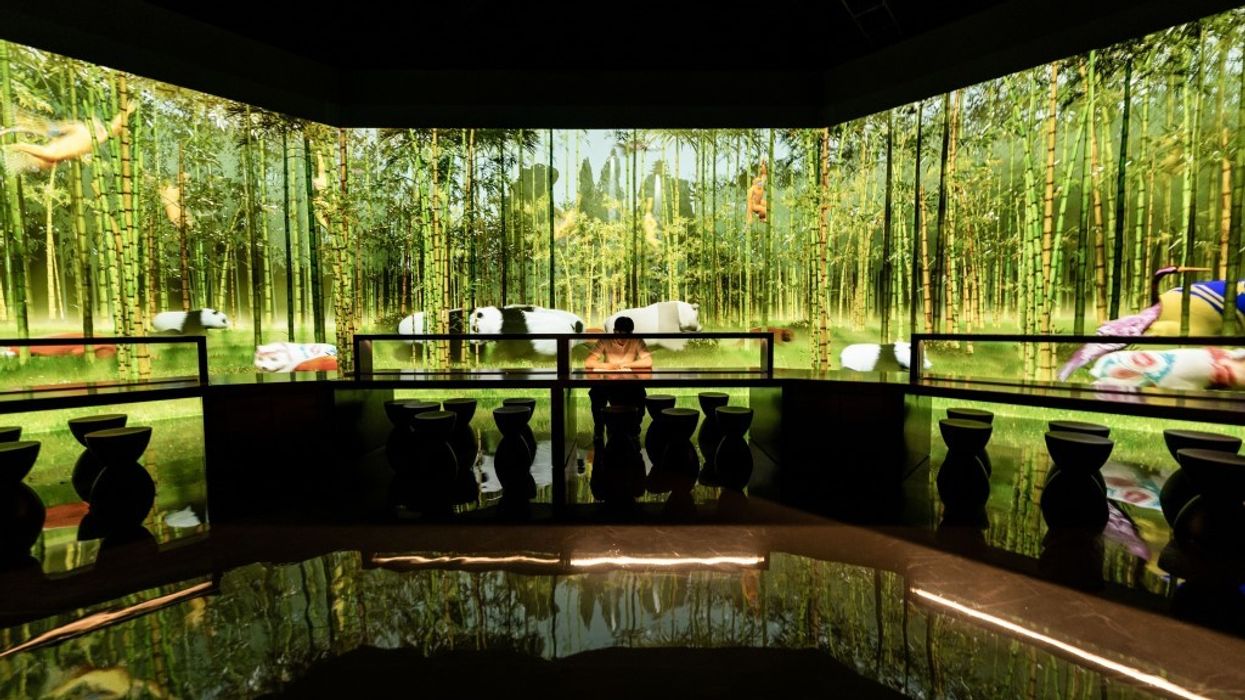 d'strict Chengdu China