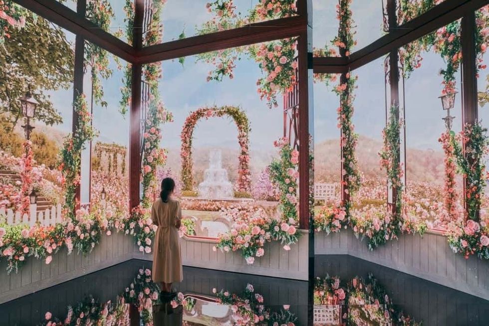 d.strict DREAMING GARDEN