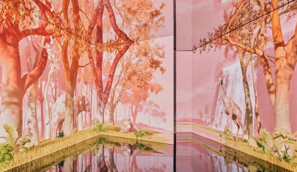 d.strict INSPIRATION JUNGLE