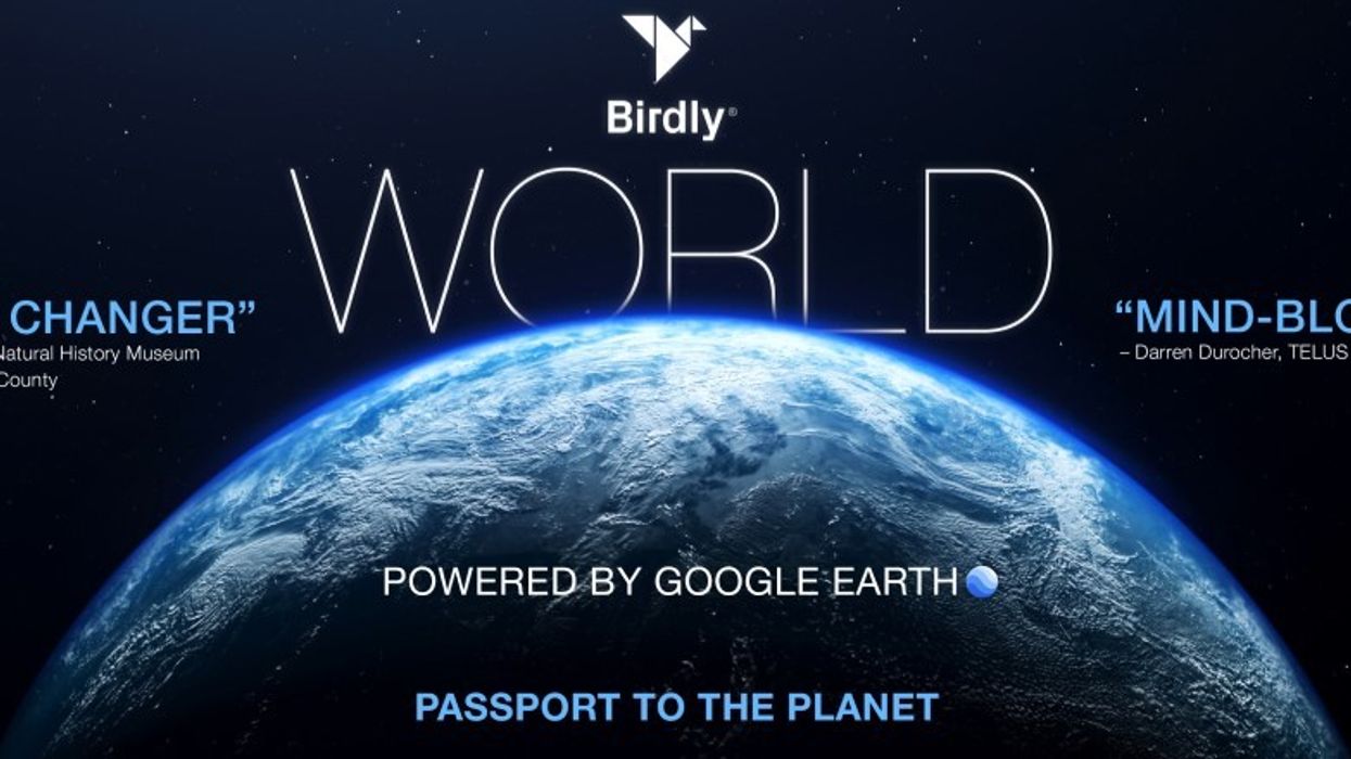 D3D Cinema unveils Birdly World experience poster