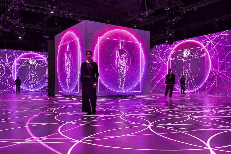 Da Vinci Genius Vitruvian Man