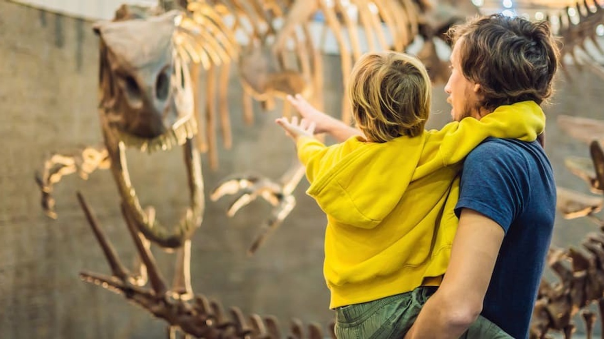 Dad and boy watching dinosaur skeleton