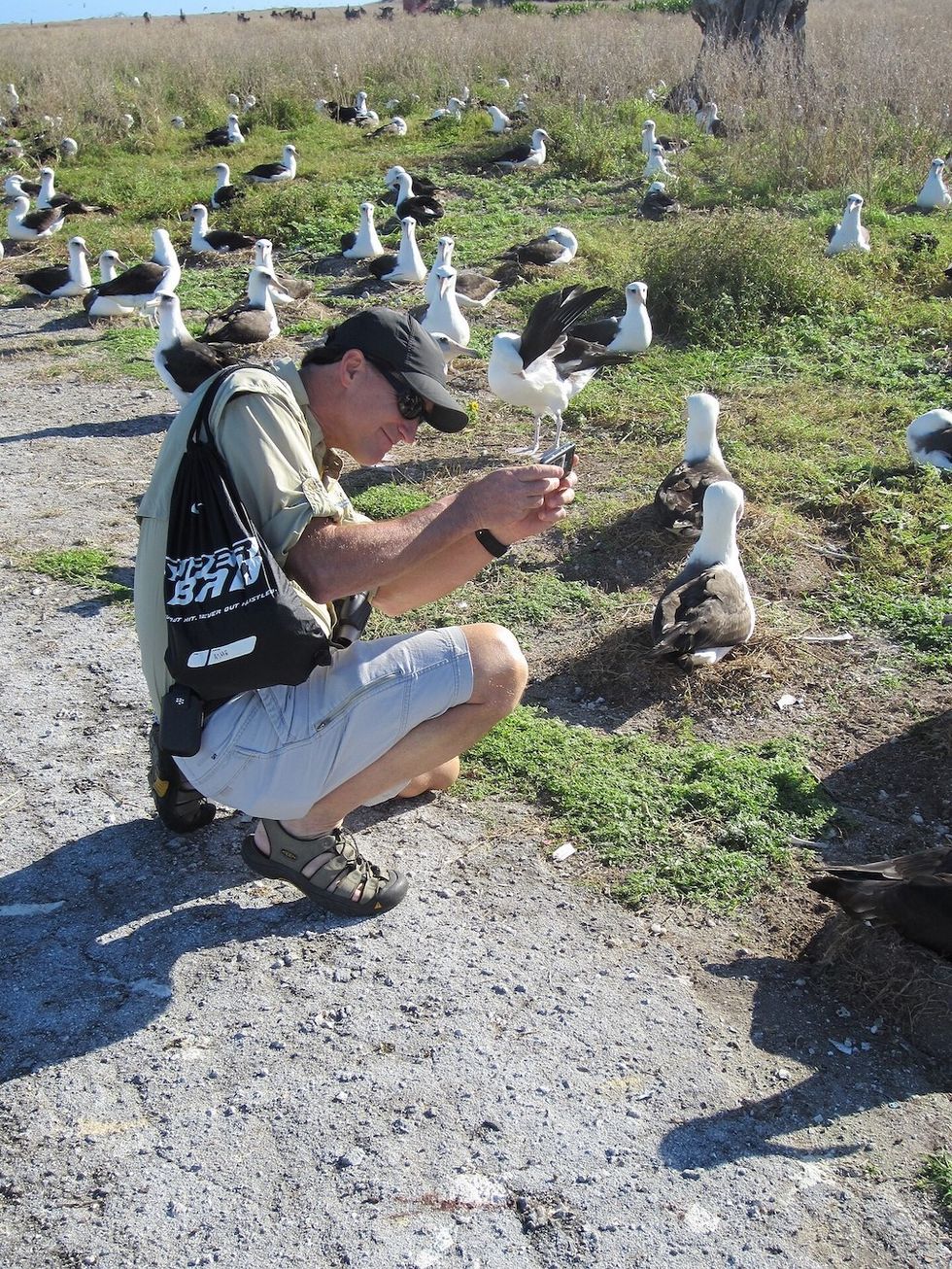 Dan Ashe of AZA with Laysan albatross - Midway Atoll