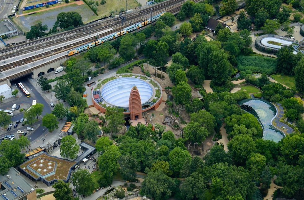 dan pearlman shares insights into zoo design courtesy Dirk Laubner