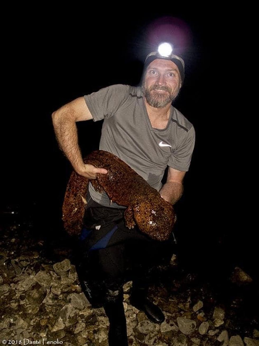 Danté Fenolio with japanese giant salamander