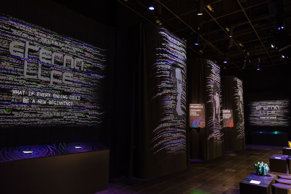 Dark exhibit with code patterns projected on black walls, reading "Eternal Life."
