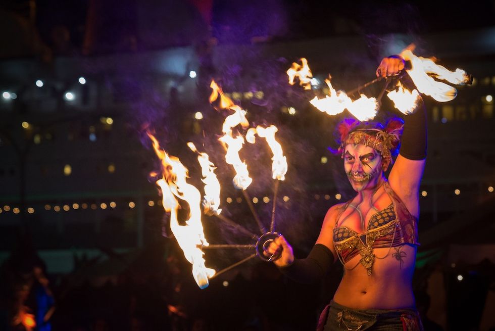 Dark Harbor Queen Mary mycotoo blooloop