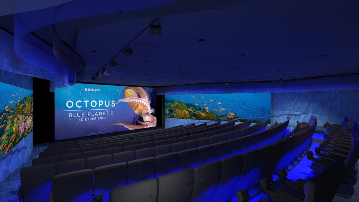 Dark theater showing "Octopus Blue Planet II: 4D Experience" with aquatic visuals.