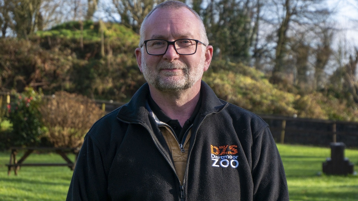 dartmoor zoo new ceo