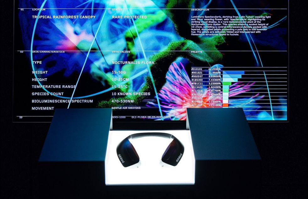 Dataland Machine Dreams: Rainforest