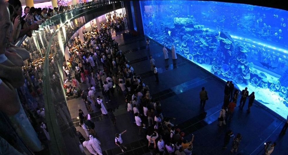 dauz-wins-certificate-of-excellence-final