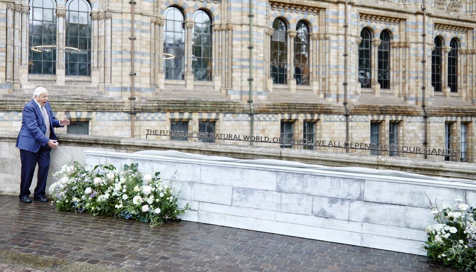 david attenborough natural history museum quote