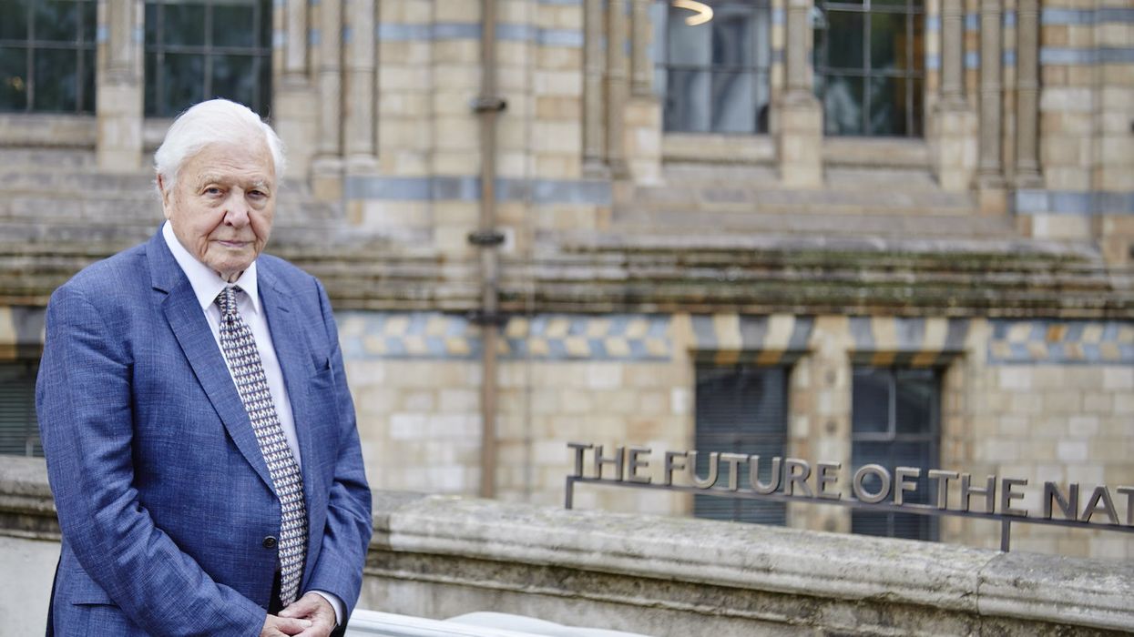 david attenborough natural history museum quote