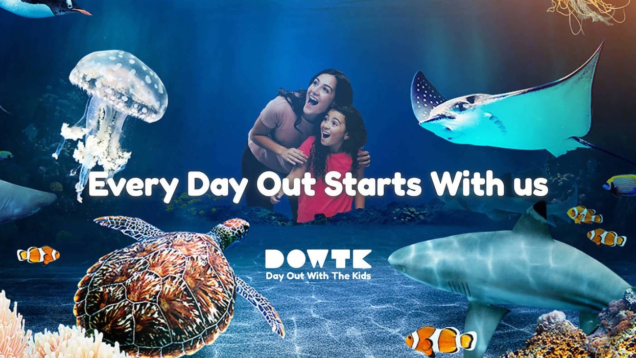 day out with the kids aquarium