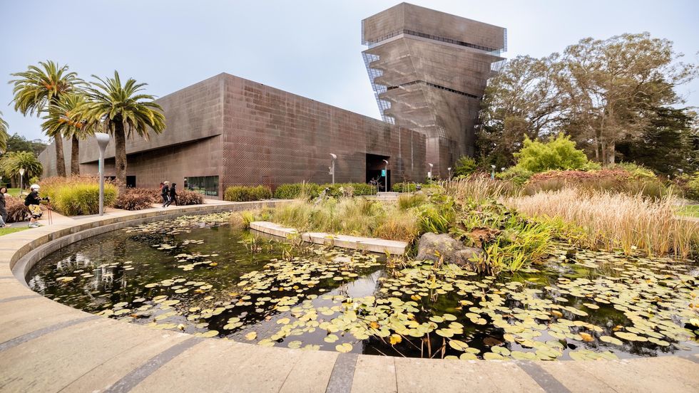 de young museum