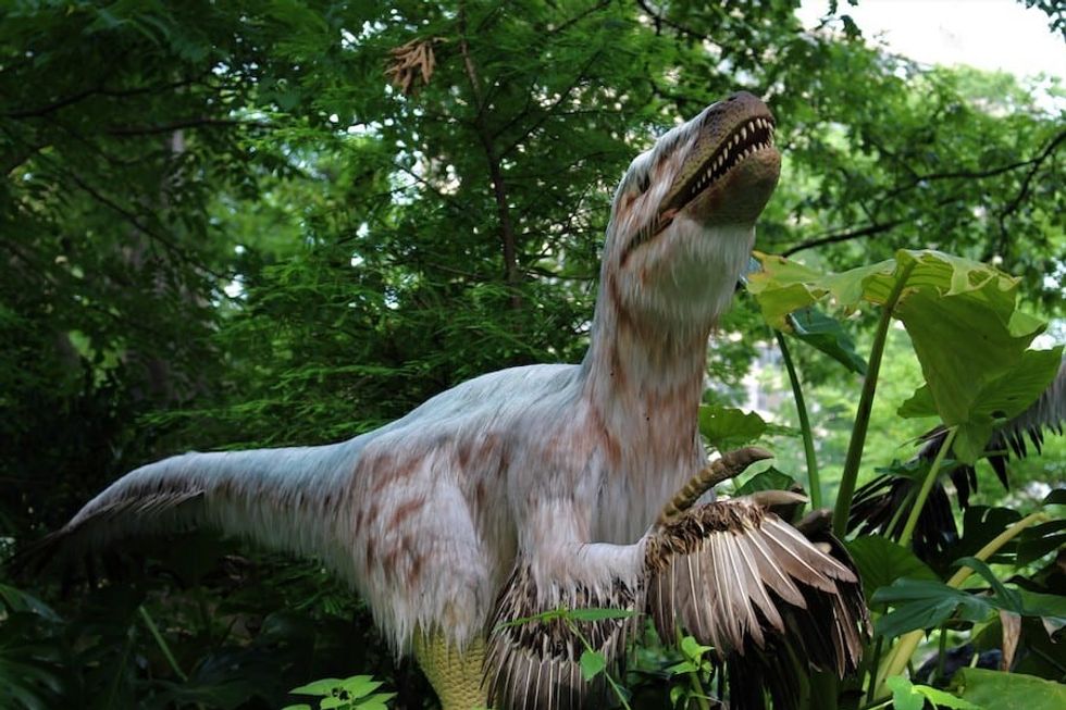 Deinonychus dinosaur safari