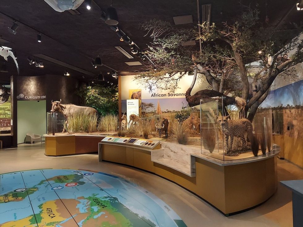 Delaware Museum of Nature and Science