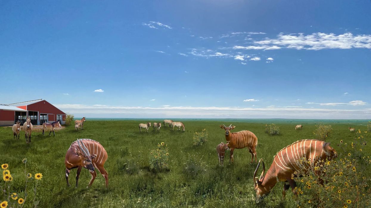 denver zoo wildlife preserve