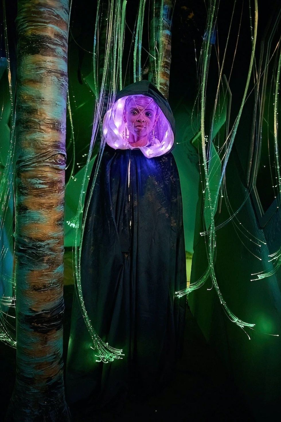 Department of Wonder magic