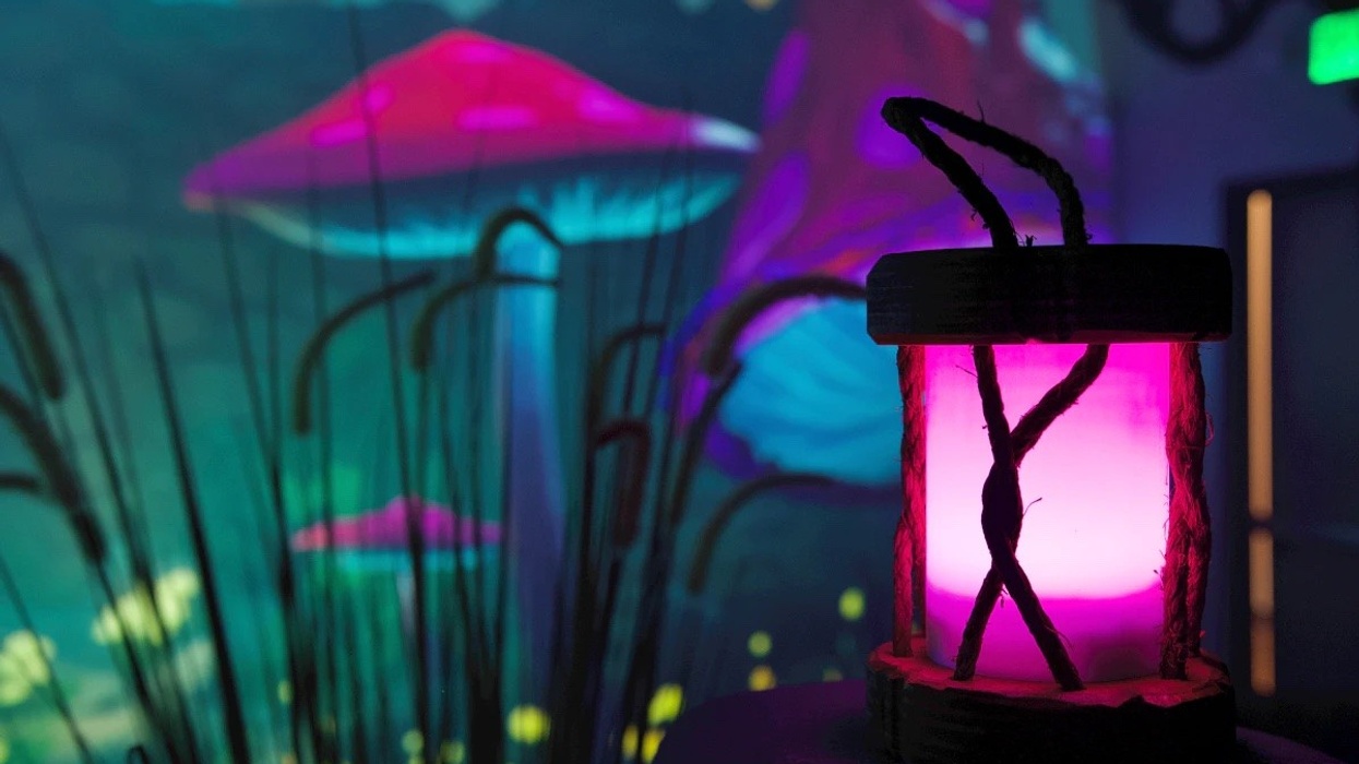 Department of Wonder mushroom