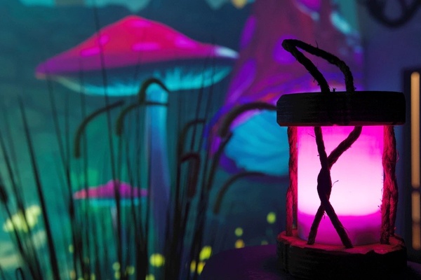 Department of Wonder mushroom