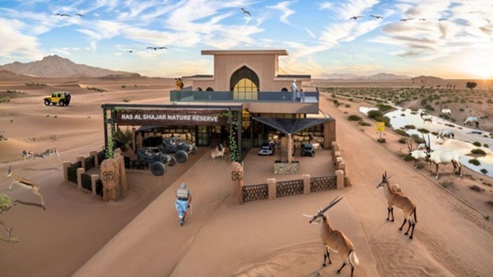 Desert nature reserve with wildlife, safari vehicles, and scenic views at sunset.