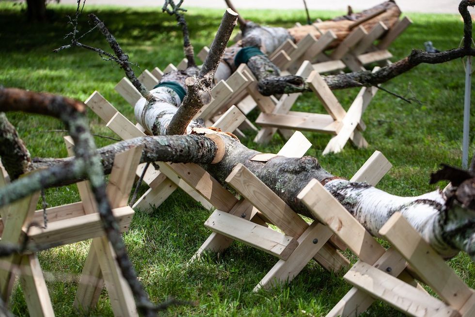 Detail of wood used in Ethan Murrow’s sculpture “Restoration” Climate change
