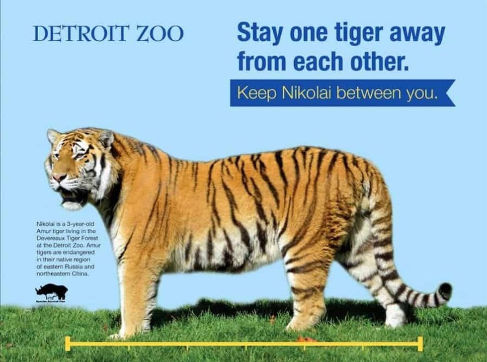 Detroit Zoo COVID 19 messaging