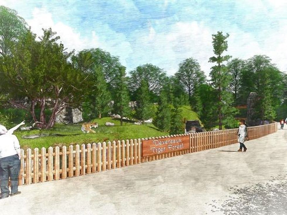 detroit zoo tiger enclosure