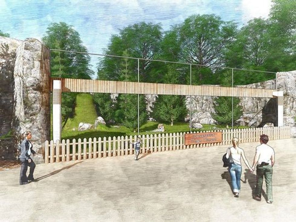 detroit zoo tiger enclosure