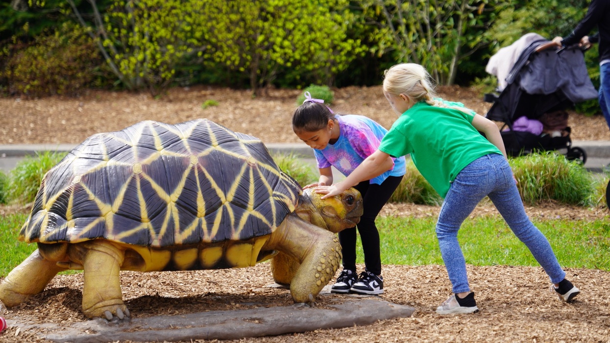 Detroit Zoo Wildlife Rescue experience
