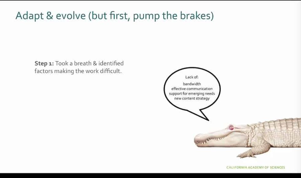 Digital Engagement Session AAM Virtual