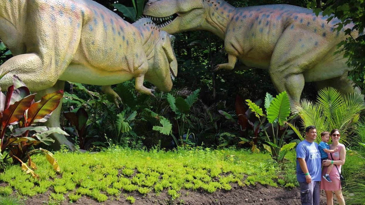 Dino Don realistic dinosaurs